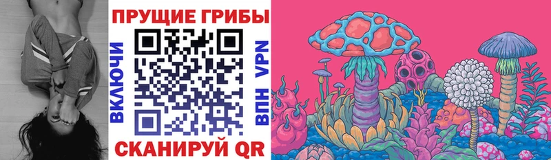 Псилоцибиновые грибы Psilocybine cubensis  shop Telegram  Электрогорск 