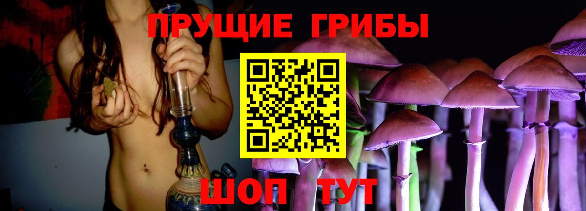 Электрогорск  Псилоцибиновые грибы Cubensis  Вход с VPN 